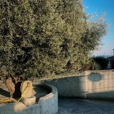 Villa Paul Et Victoire Sanary-sur-Mer