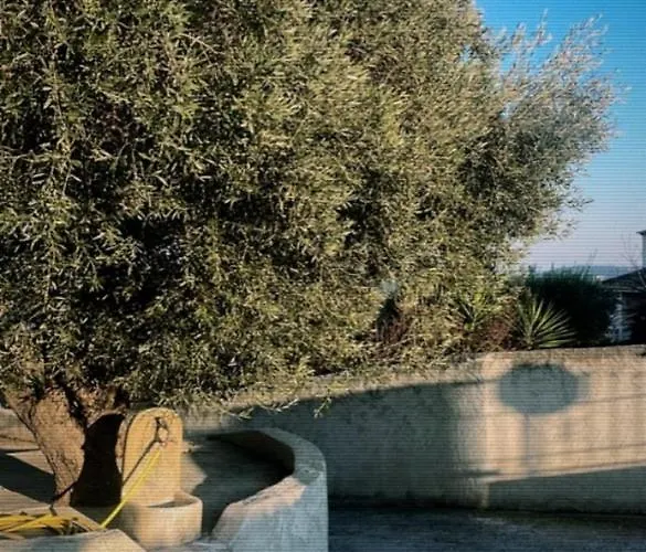 Villa Paul Et Victoire Sanary-sur-Mer